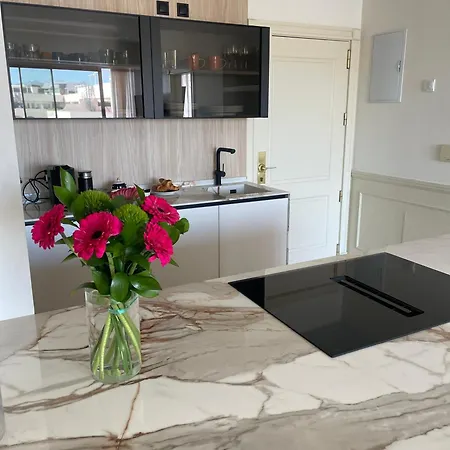 Guadalpin Penthouse 马尔韦利亚
