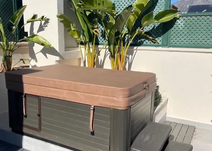 Apartament Guadalpin Penthouse